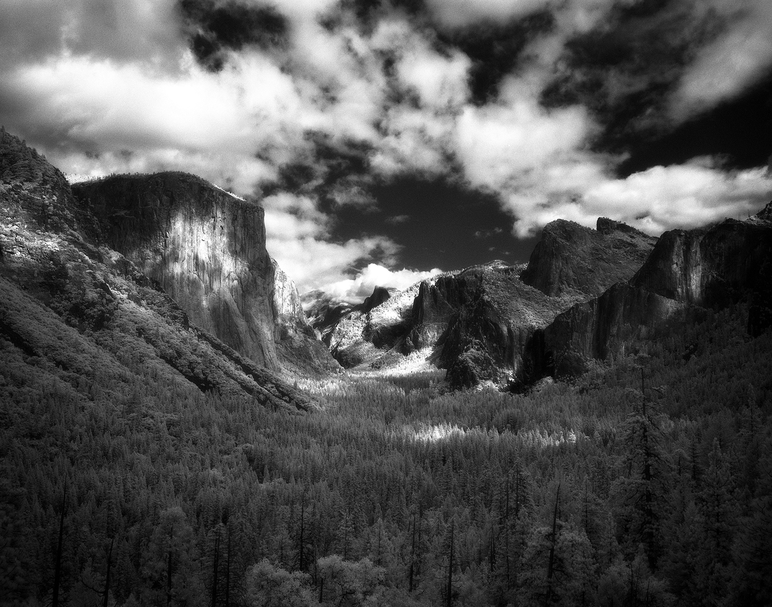 Yosemite NP 4, CA